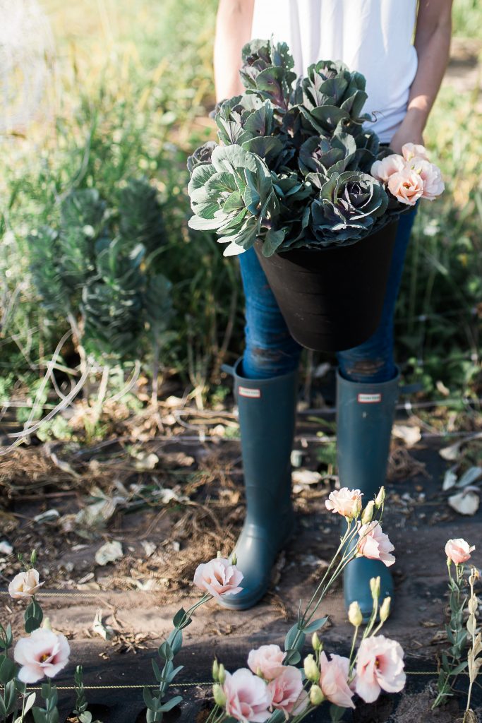 Woman in field holding flowering kale. 